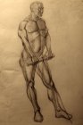 Учебная постановка. Рисунок стоящего натурщика. Бумага, графитный карандаш. 61х43см, 1997г.с.