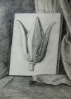 Барельефная плашка - Лотос. Бумага, графитный карандаш. 43х30см, 1988г.с.