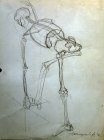 Sketch with a human skeleton in a difficult angle. Production. 50х35 cm, paper, graphite pencil. 1995.