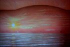 «Закат cолнца на море». 2007г. г. Рязань, частный сектор.  Роспись по стене акриловыми красками (аэрография). 