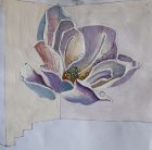 The sketch to a list «Magnolia». Paper, acryle. 24.5x23.5, 2005.