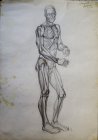Sketch of a male model with a display of the skeleton and muscles. 70х53 cm, paper, graphite pencil. 1997.
